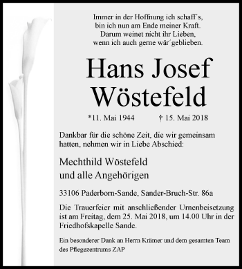 Traueranzeige von Hans Josef Wöstefeld von Westfalen-Blatt